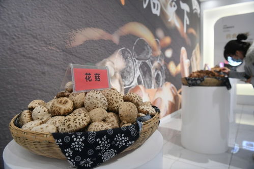 走进三秦大地看振兴 村村不同 振兴策 ,却有相同 精气神