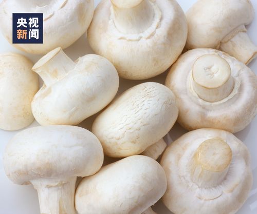 何 以 苏 大 强