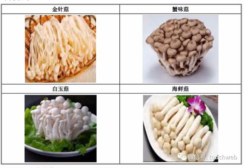 万辰生物深交所上市 靠卖金针菇市值做到38亿