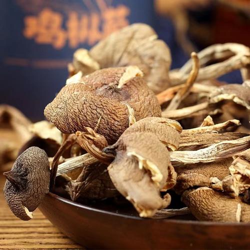 云南特产白鸡枞批发 食用菌白落伞 白露伞 白鹅蛋菌产地